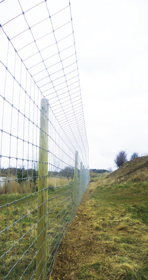 Latest News - Hampton NET™ Otter Fencing Tried, Tested and...