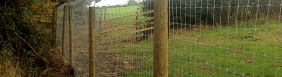 Latest News - Otter Fencing You Can Trust