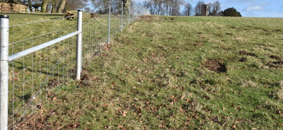 Latest News - National Trust's Calke Abbey Fencing Upgrade