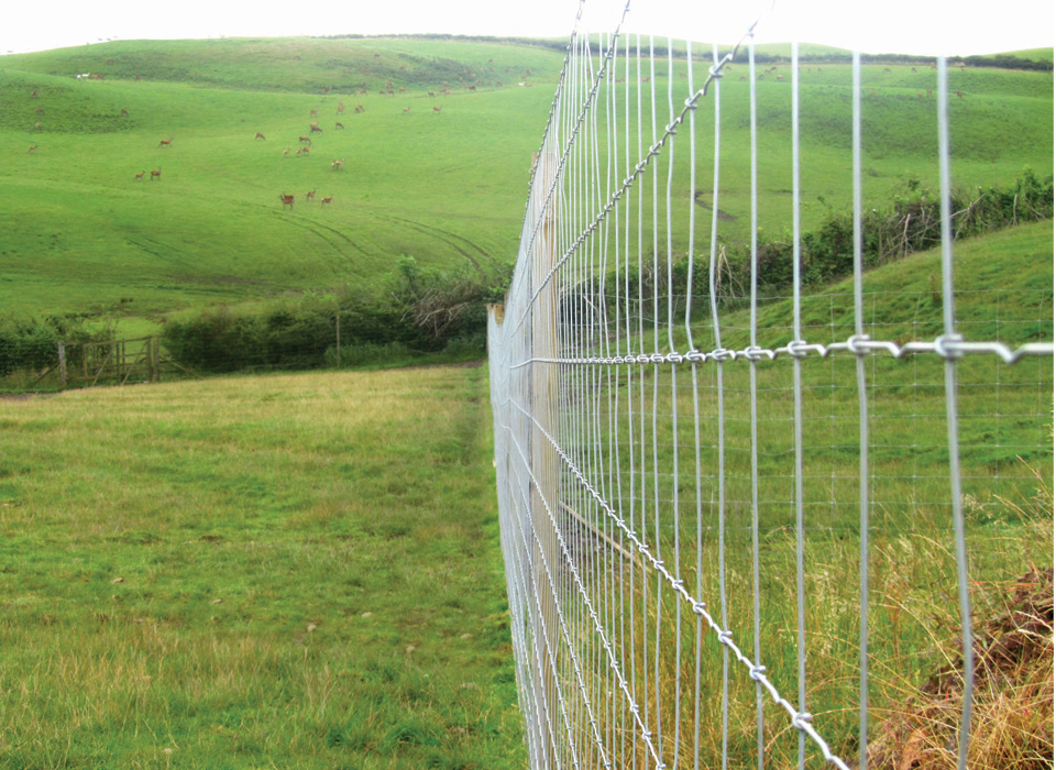 Case Studies - Hampton NET™ Deer Fencing Case Study