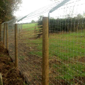 Otter Fencing You Can Trust