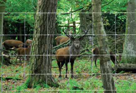 Sentinel Hinge Joint Deer Fencing