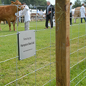 Agricultural Fencing